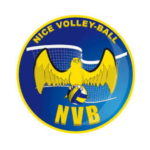 logo nice volley ball